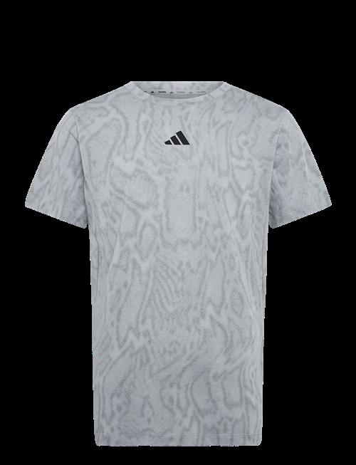 adidas Performance | D4T Primelift T | XS