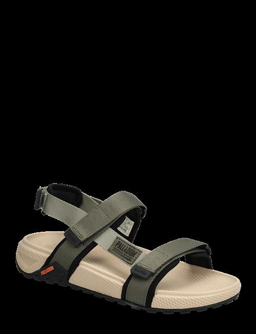 Palladium | Offsandal Strap | 46