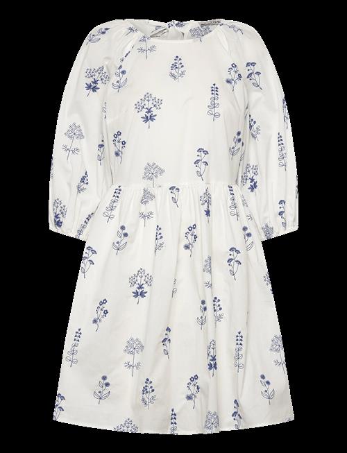 A-View | Agnelia Dress | 38