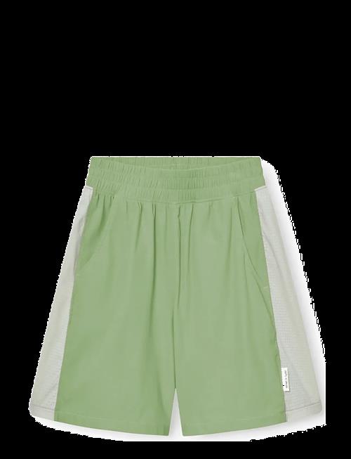 MINI A TURE | Matmano Shorts. Grs | 11Y/146
