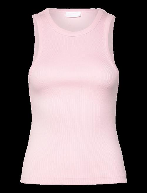 2NDDAY | 2Nd Purity Tt - Daily Cotton Rib | XXS