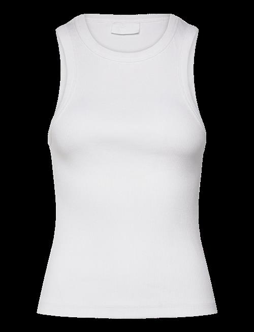 2NDDAY | 2Nd Purity Tt - Daily Cotton Rib | L