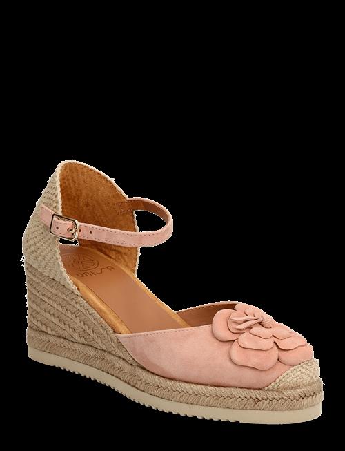 UNISA | Cocerks | 40