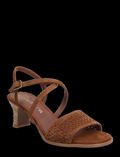 UNISA | Limosiks | 36