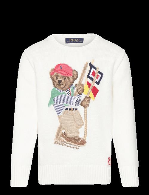 Ralph Lauren Kids | Polo Bear Cotton Sweater | 109-116