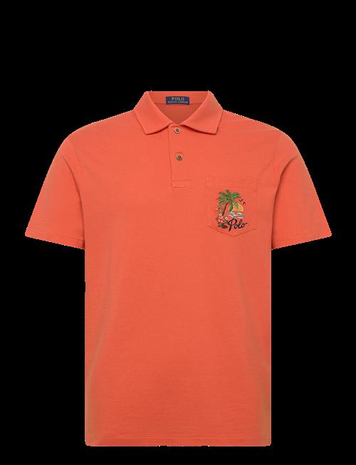 Polo Ralph Lauren | Standard Fit Mesh Graphic Polo Shirt | M
