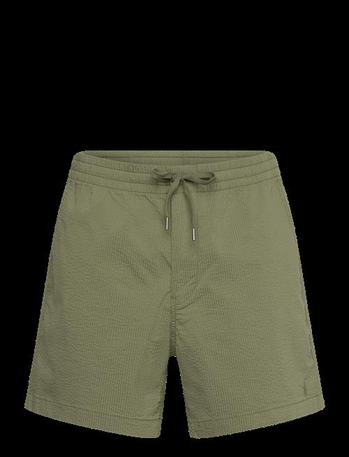Polo Ralph Lauren | 710P08195004 | L