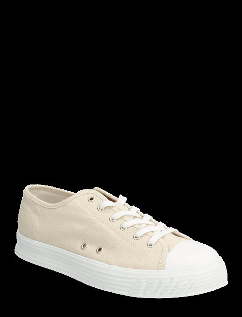 Polo Ralph Lauren | Canvas-Ayers Low-Sk-Ltl | 43