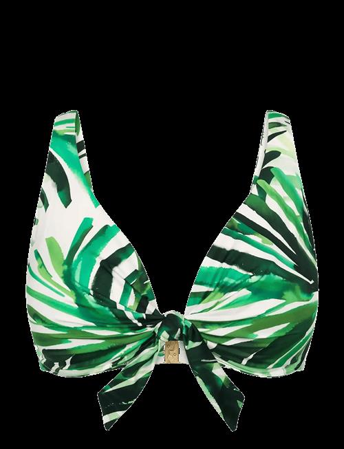 Triumph | Summer Palm W | B x 42