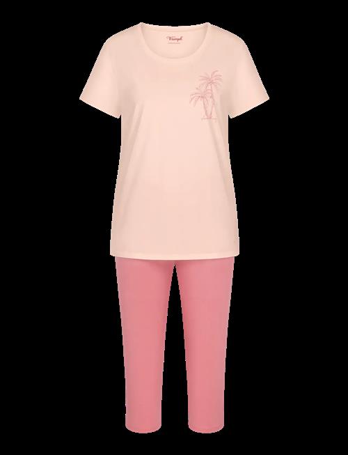 Triumph | Sets Pk Capri X 03 | 44