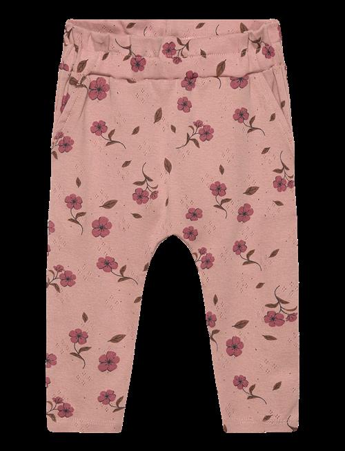 The New | Tnsbpicole Pointelle Pants | 74