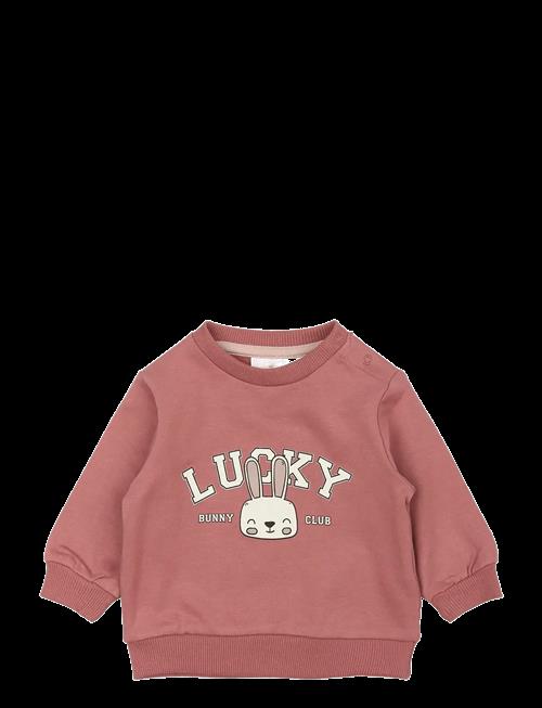 The New | Tnsbpheba Sweatshirt | 74