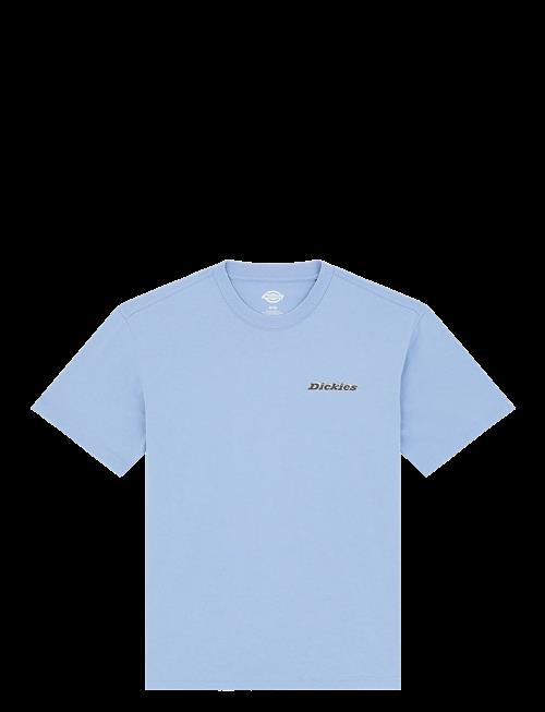 Dickies | Thornville Ss Tee | XXL