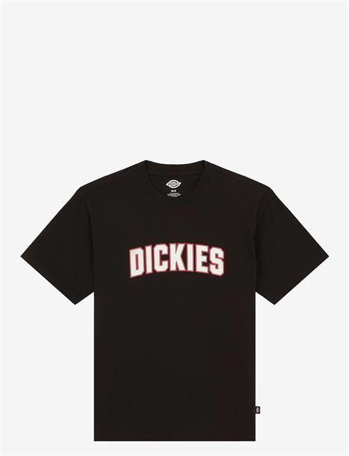 Dickies | Aitkin Ss Tee | XXL