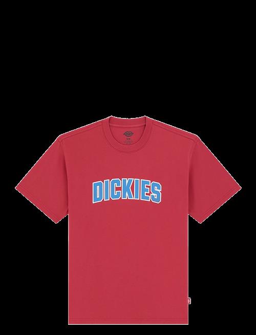 Dickies | Aitkin Ss Tee | XXL