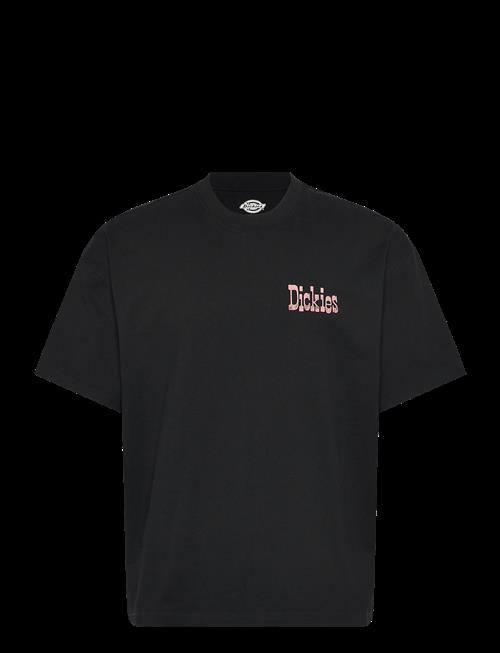 Dickies | Polk Ss Tee | M