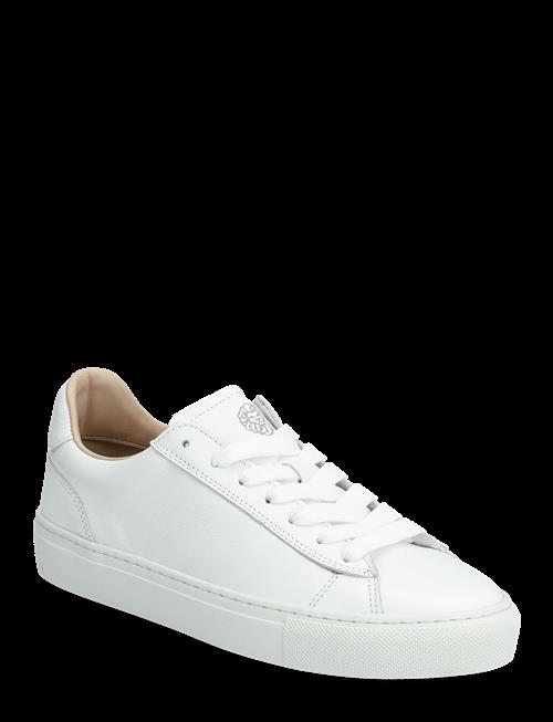Sneaky Steve | Grand W White | 40