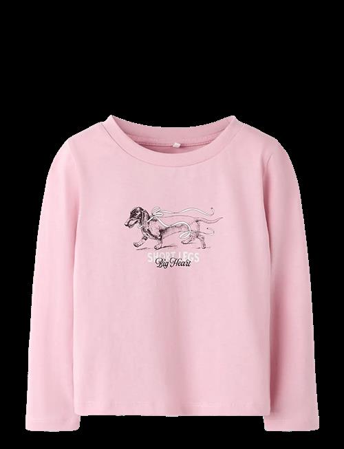 name it | Nmfsigne Ls Nreg Top | 92