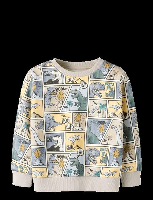 name it | Nmmsikalas Ls Nreg Swe Bru | 92