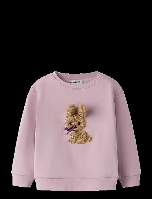 name it | Nmfsilia Ls Nreg Swe Bru | 104