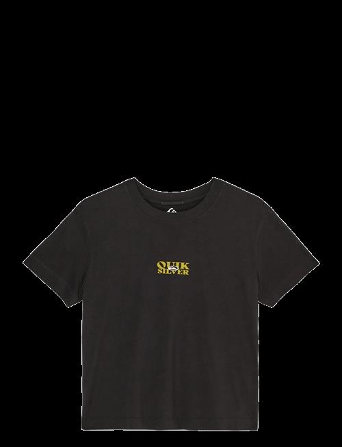 Quiksilver | Standard Ss Tee | XS