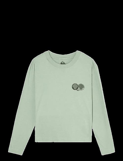 Quiksilver | Standard Ls Tee | M