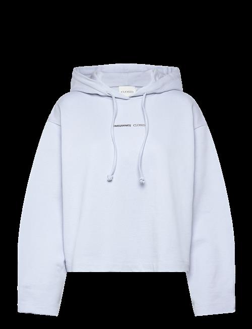 Closed | Cropped Hoodie | M