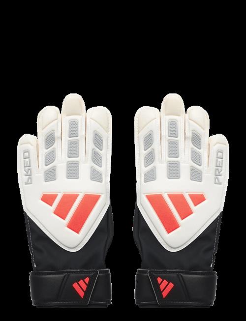 adidas Performance | Pred Gl Trn J | 4.5