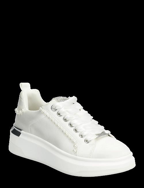 Steve Madden | Glori | 36