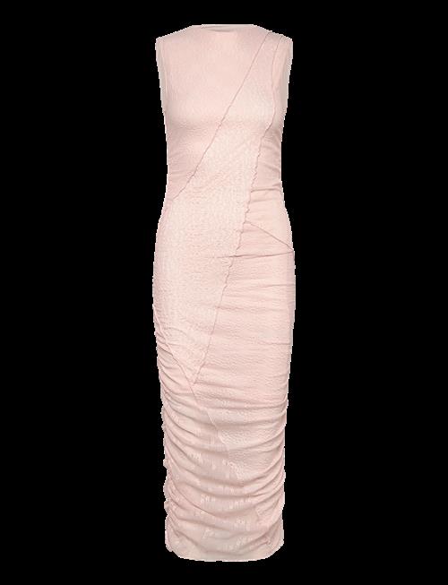 Noella | N-Sutton Dress | XL