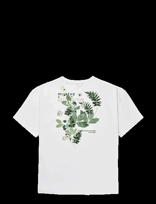 Munthe | Lanster | M