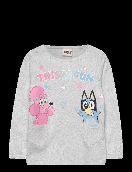 Bluey | Tshirt | 110