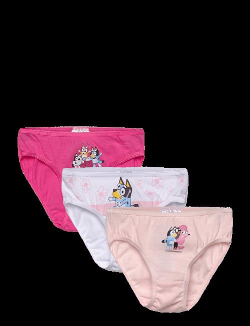 Bluey | Briefs | 98/104