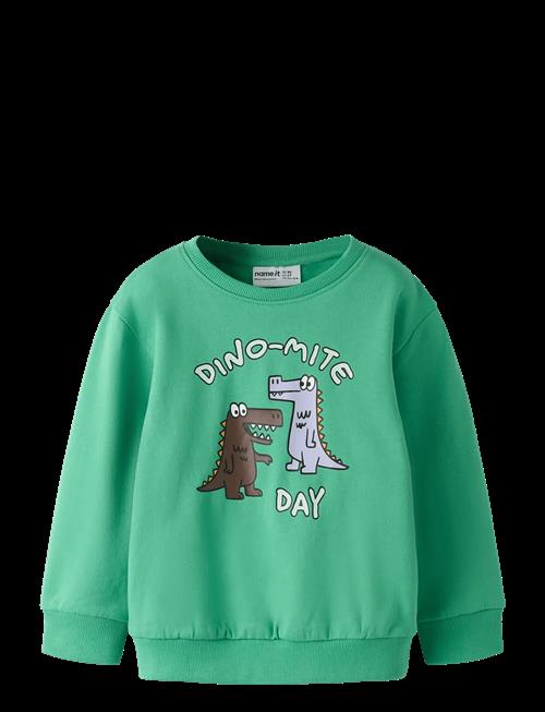 name it | Nmmdakkian Ls Nreg Swe Bru | 110