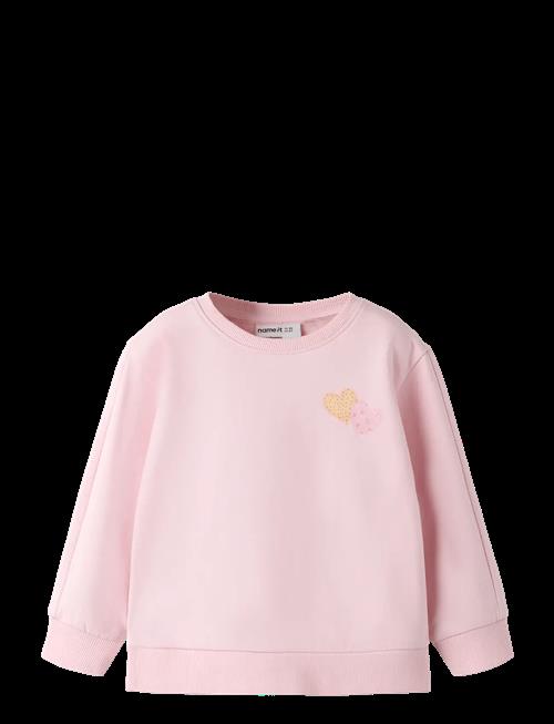 name it | Nmfdenila Ls Nreg Swe Bru | 92