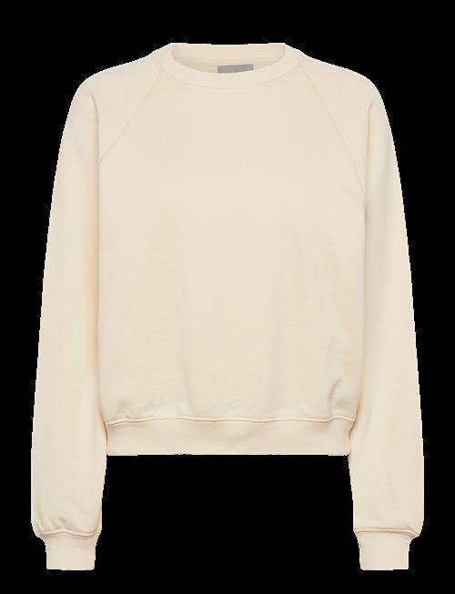 Sail Racing | Bay Sweater | XL