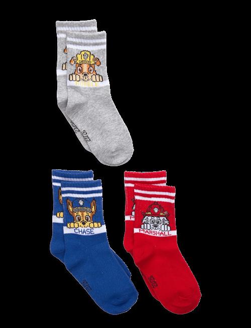 Paw Patrol | Socks | 23/26