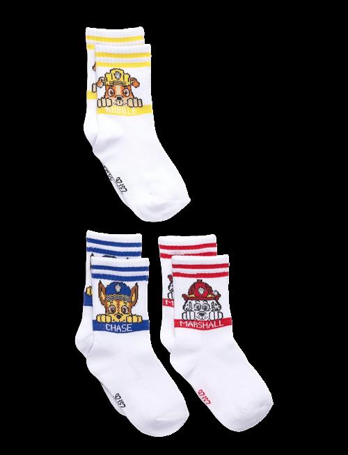 Paw Patrol | Socks | 31/34