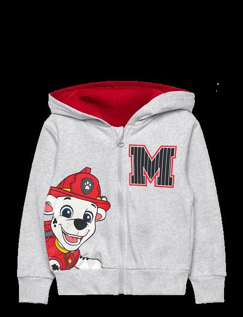 Paw Patrol | Sweats | 110