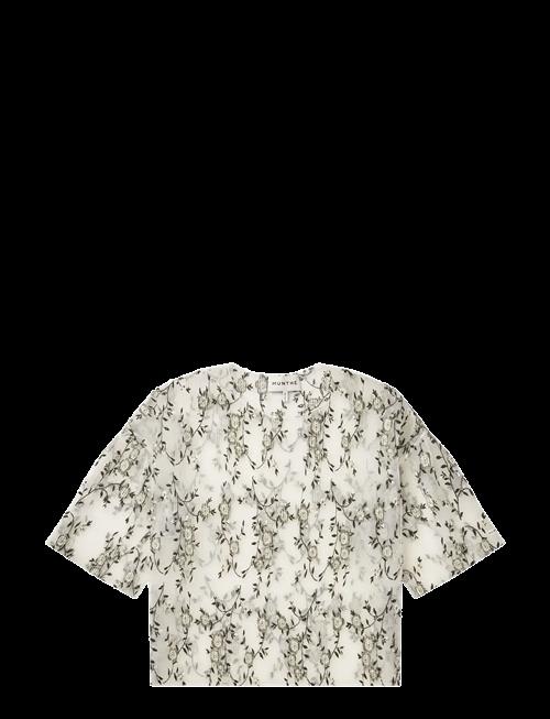 Munthe | Baltazar | 34