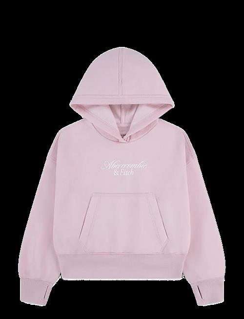Abercrombie Kids | Po-Pull-Over Hoody | 140/148