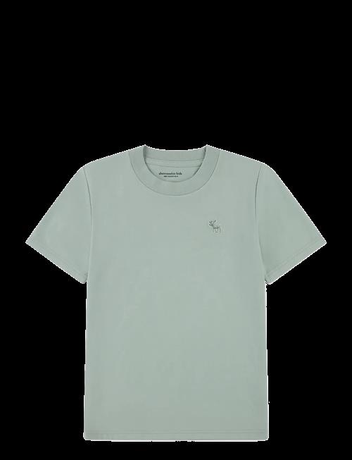 Abercrombie Kids | Te-S/S Tee | 147/163