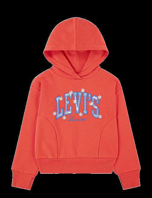 Levi's | Levi's® Graphic Logo Oversized Hoodie | 110