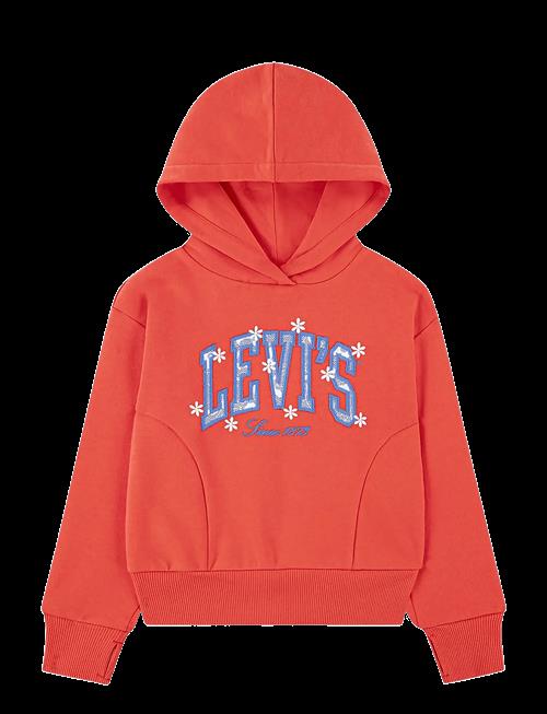 Levi's | Levi's® Graphic Logo Oversized Hoodie | 158