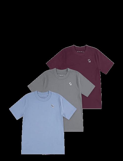 Abercrombie Kids | 3T-3Pk Ss Tee | 147/163
