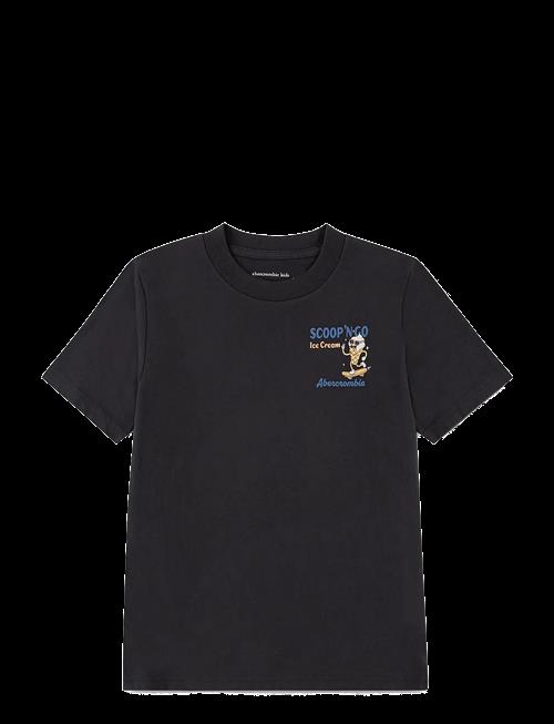 Abercrombie Kids | Te-S/S Tee | 147/163