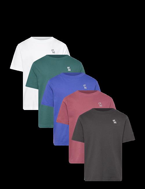 Abercrombie Kids | Ty-5Pk Tees | 147/163