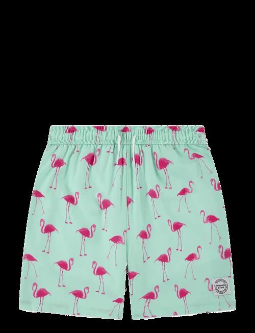 Abercrombie Kids | Sm-Swim Short | 128/147