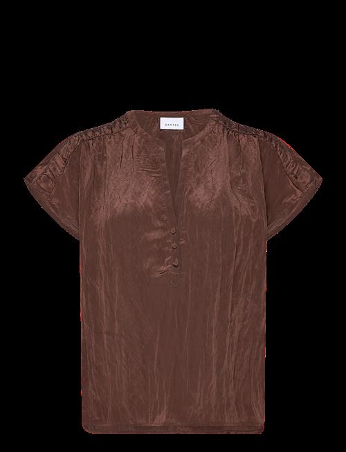 Dante6 | Dante6-Rover Detailed Top | 38