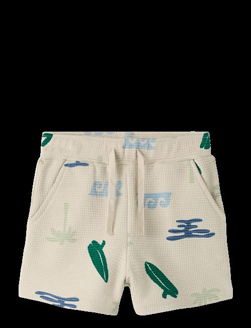 name it | Nmmfalcan Nreg Shorts | 104